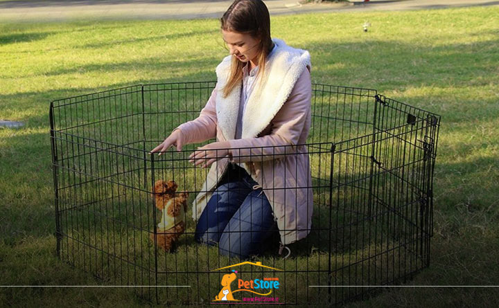 تعریف پارک بازی سگ