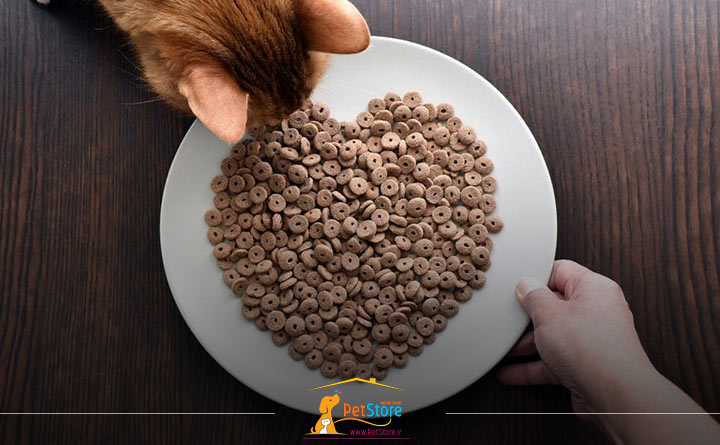 خرید غذای خشک گربه 
