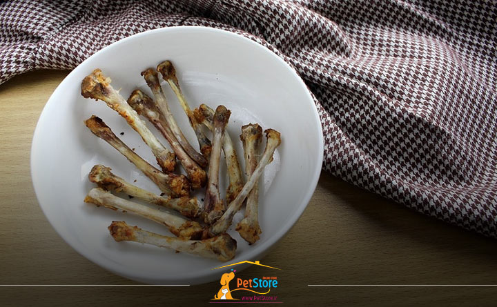 دادن استخوان مرغ به گربه