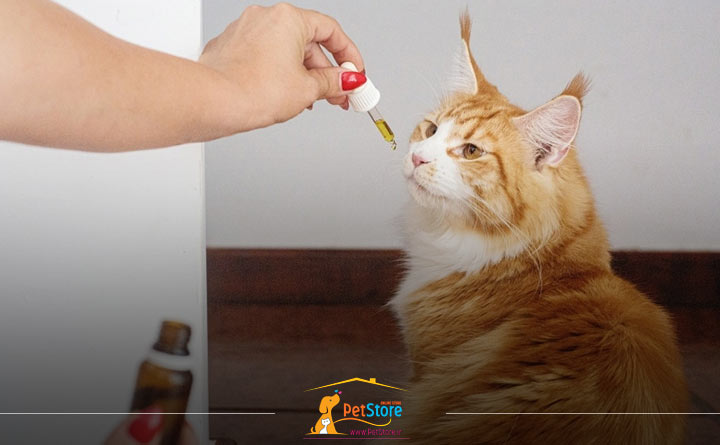 غذای ویتامینی برای گربه