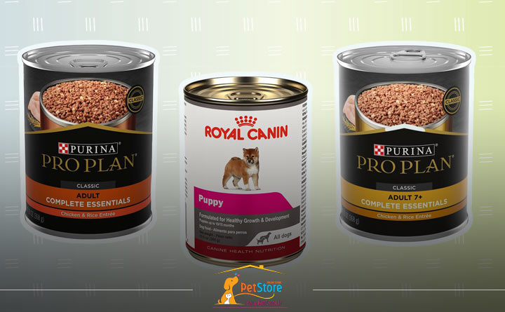  تولید پوچ سگ 