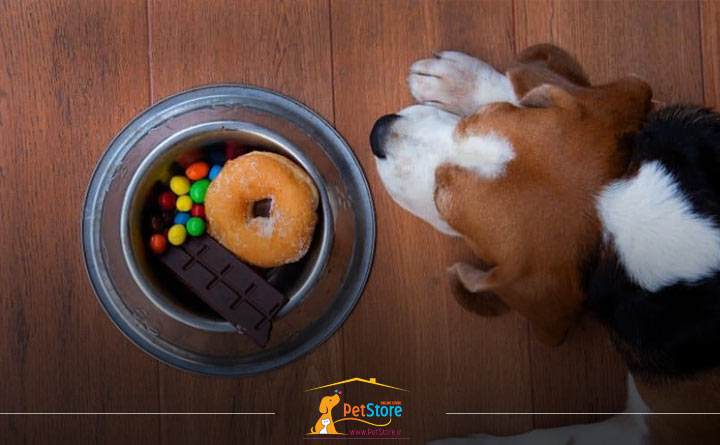 غذای عقیم شده برای سگ 