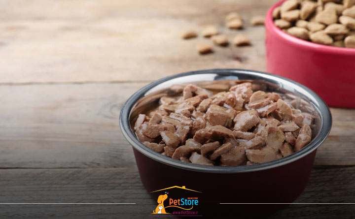 قیمت غذای پوچ سگ