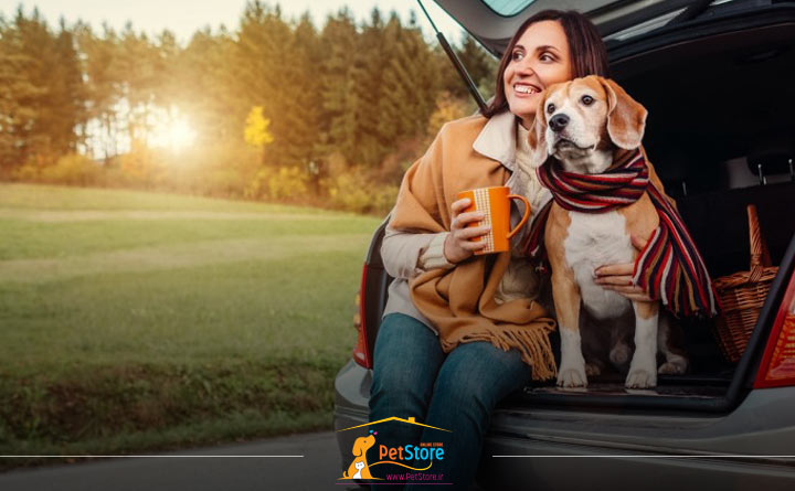 اهمیت سفر با حیوان خانگی