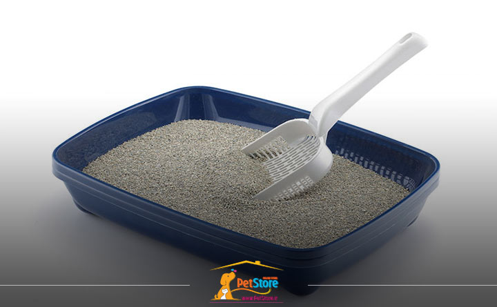 کیفیت مناسب خاک از ویژگی های خاک خوب گربه