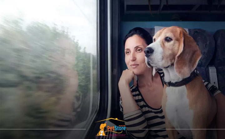 مسافرت با قطار همراه با حیوان خانگی