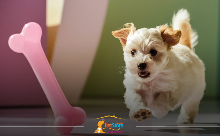 وسایل لازم برای نگهداری سگ در خانه: اسباب بازی توله سگ