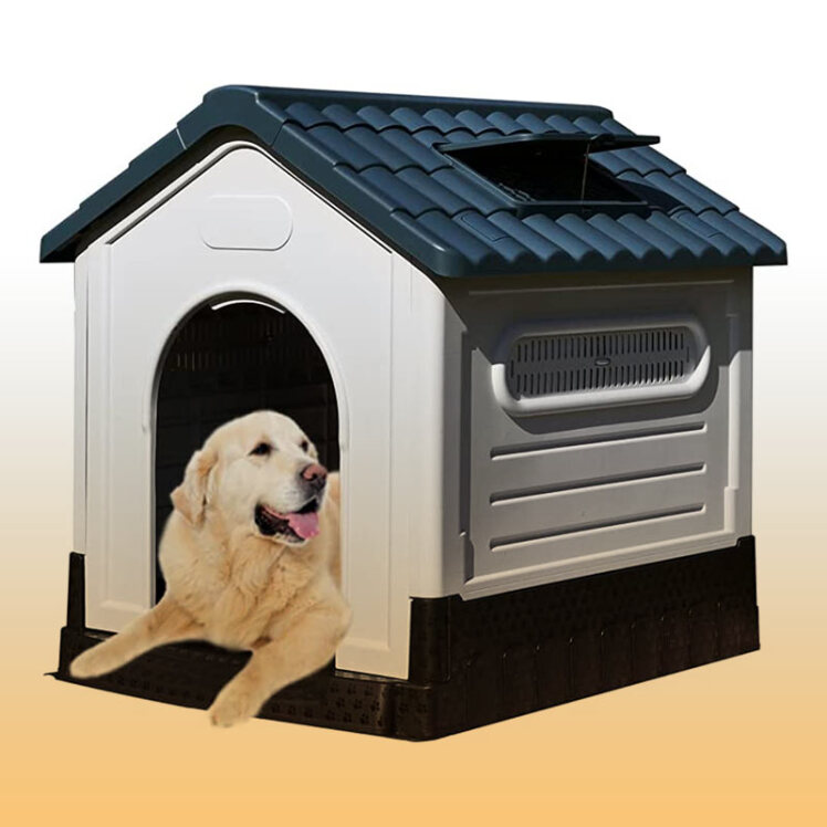 راهنمای خرید خانه سگ