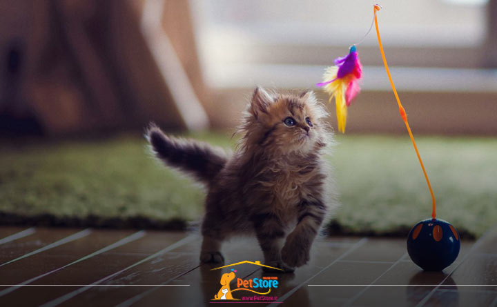 اسباببازی گربه