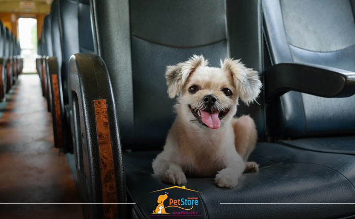 سفر با اتوبوس همراه با پت