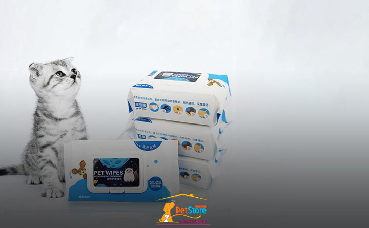 آشنایی با راهنمای خرید دستمال مرطوب گربه