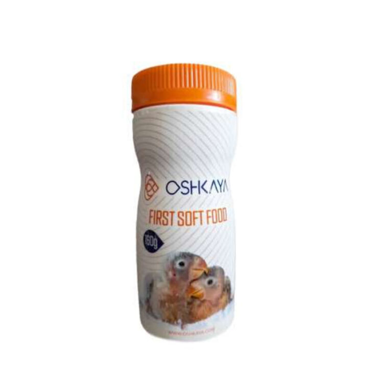 سرلاک طوطی کوچک اوشکایا وزن 160 گرم