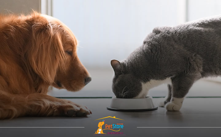 آلرژی غذایی در حیوان خانگی