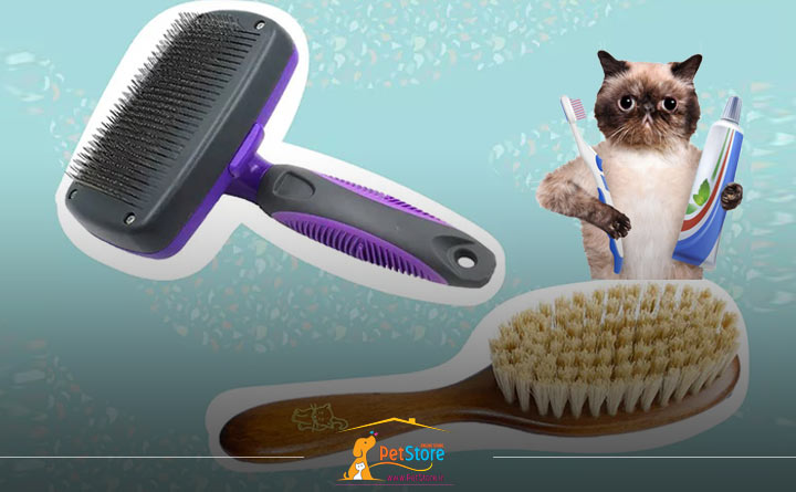 لوازم نظافت گربه