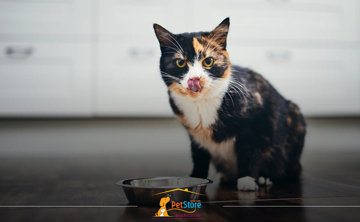 تعیین مقدار غذای مورد نیاز گربه