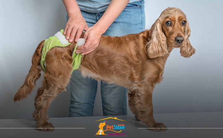 بهداشت سگ و گربه در دوران پریودی