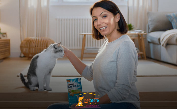 نکات مهم هنگام خرید غذای تشویقی برای گربه