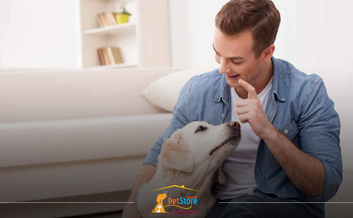 فرد سگ دوست