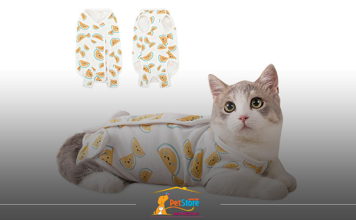 نیاز گربه به لباس 