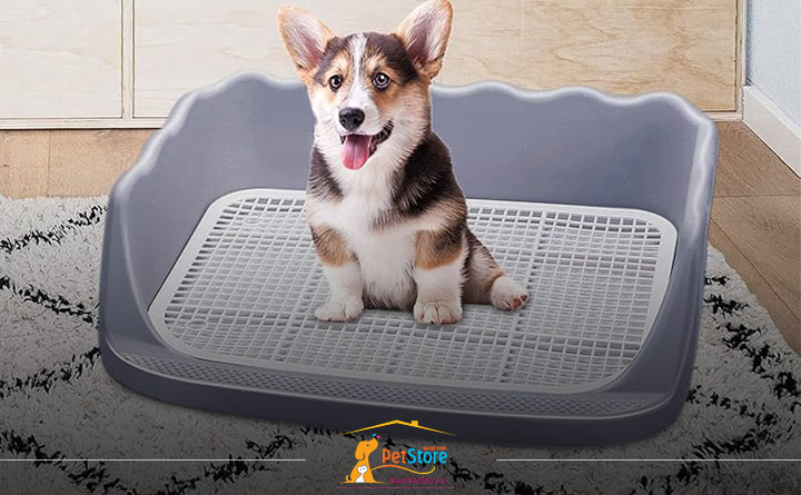 کاربرد ظرف دستشویی سگ