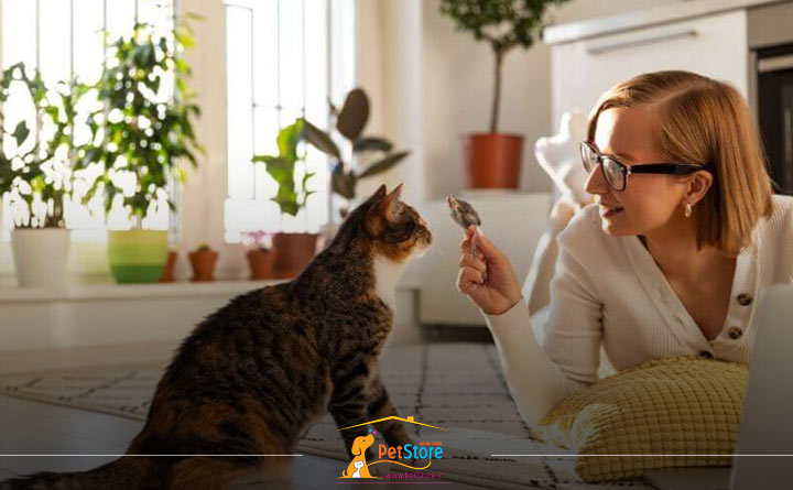 تربیت گربه به صورت ساده و پیوسته 