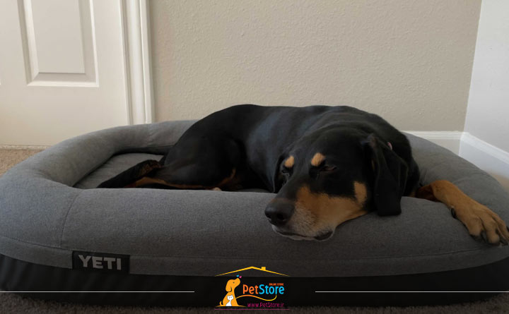 تشک سایز بزرگ سگ