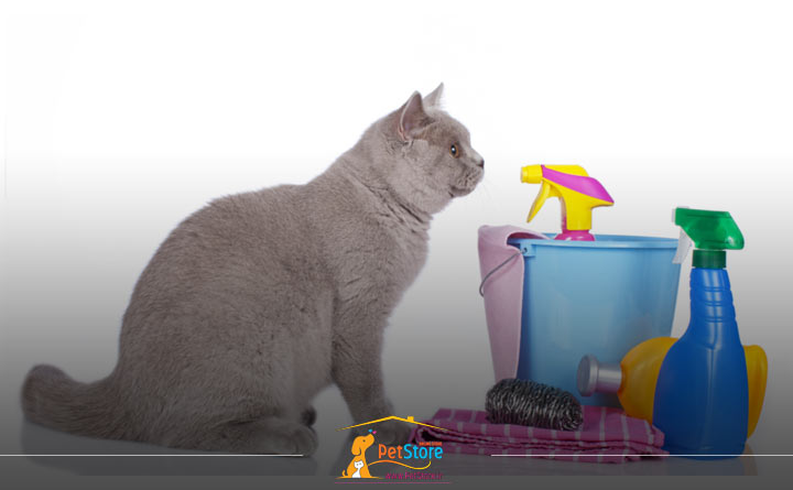 علت مسمومیت در گربه