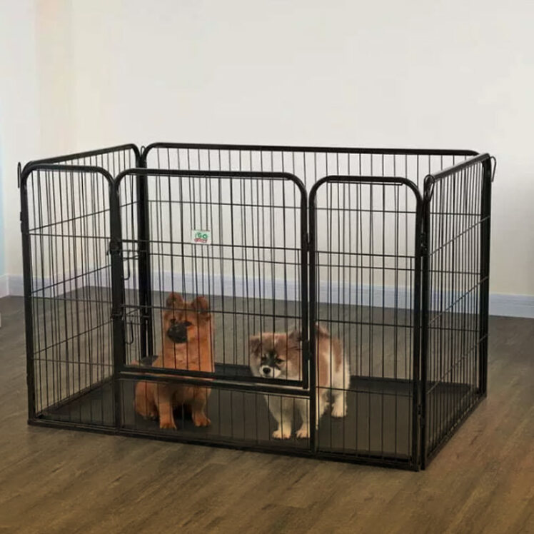 راهنمای خرید پارک بازی سگ