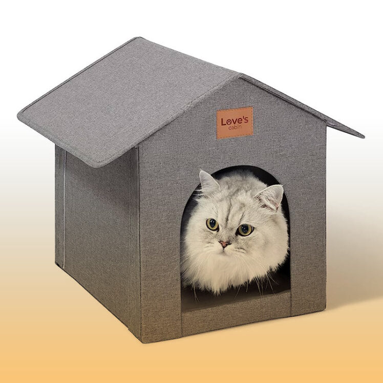 راهنمای خرید خانه گربه