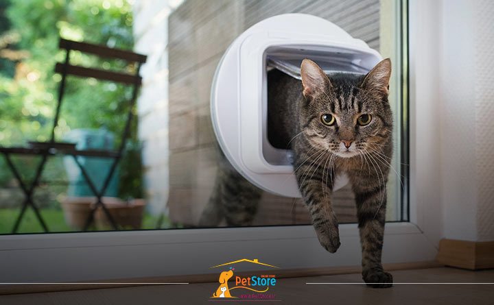 نصب فلپ گربه 