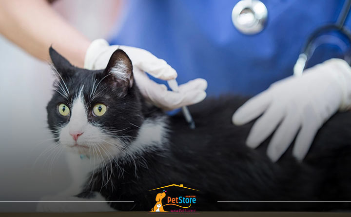 واکسن غیر فعال شده برای گربه