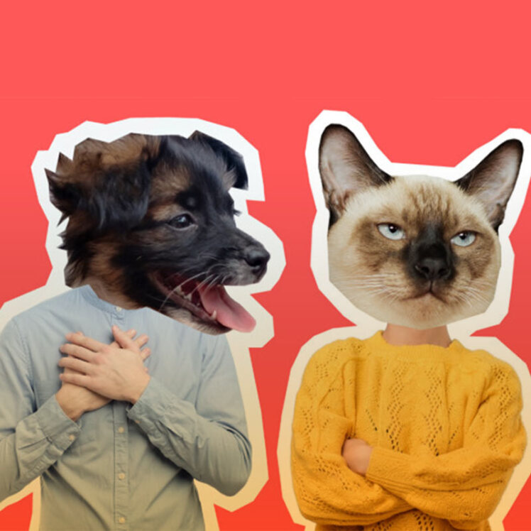 تفاوت افراد گربه دوست با سگ دوست