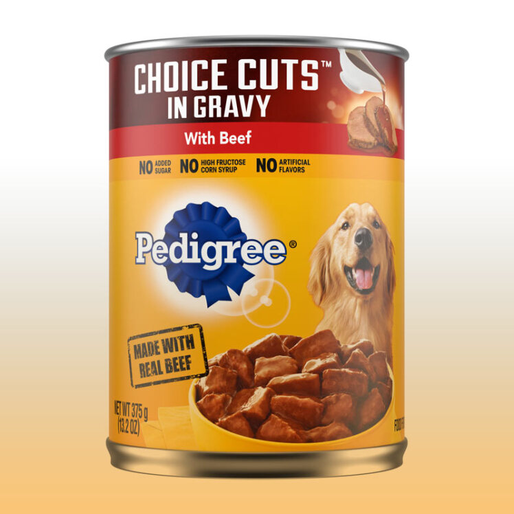 پوچ سگ چیست؟