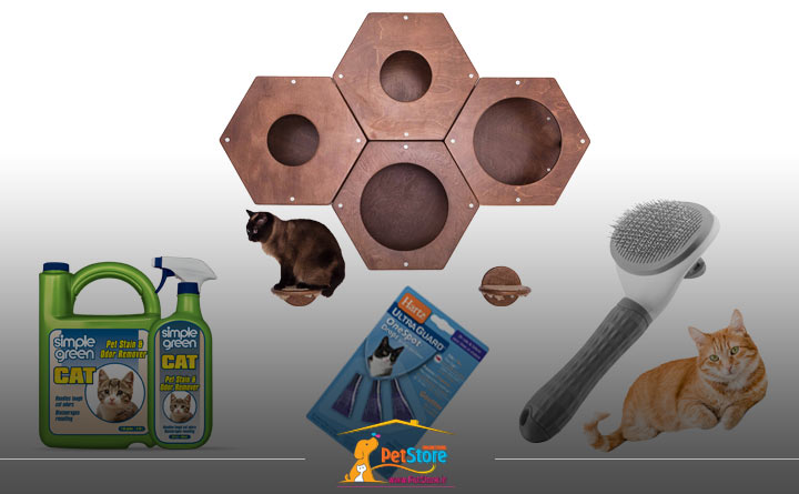  لوازم ضروری نگهداری از گربه بالغ