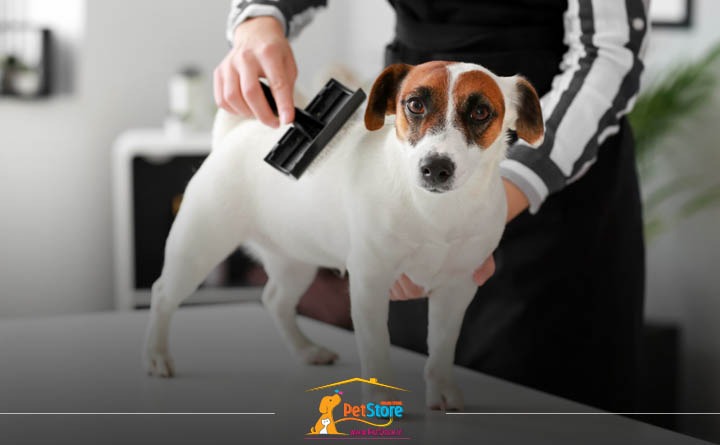 برس کشیدن سگ قبل از حمام: نکات قبل از حمام کردن سگ