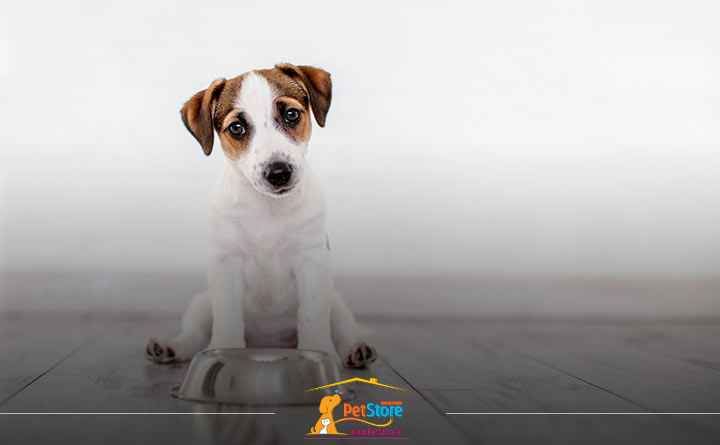 میزان غذای توله سگ