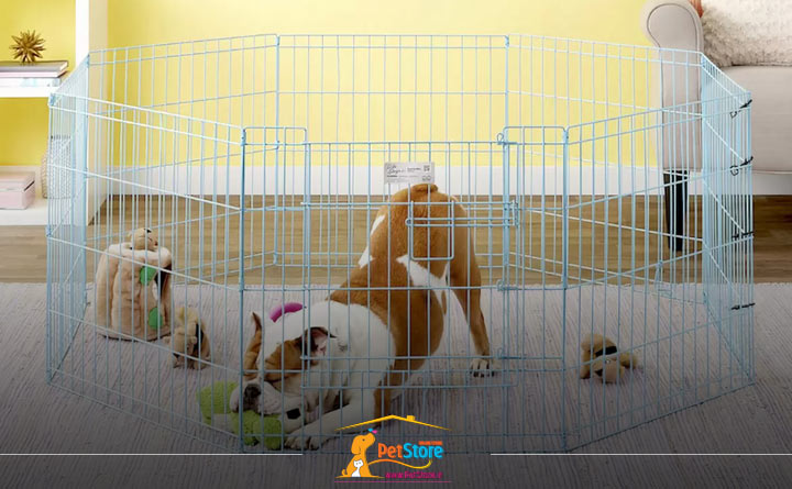 آشنایی با راهنمای خرید پارک بازی سگ