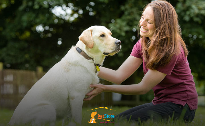 پاداش دادن به سگ برای جلوگیری از گاز گرفتن