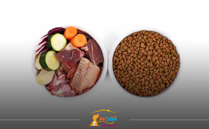 غذای سالم برای توله سگ