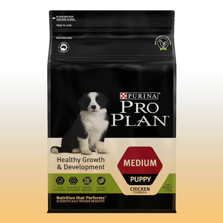 راهنمای خرید غذای توله سگ