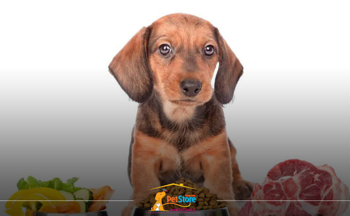 ترکیبات داخل غذای سگ