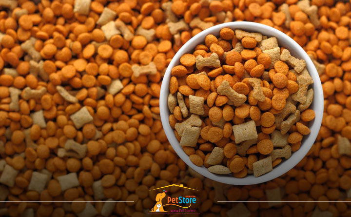 انواع غذای تشویقی برای گربه