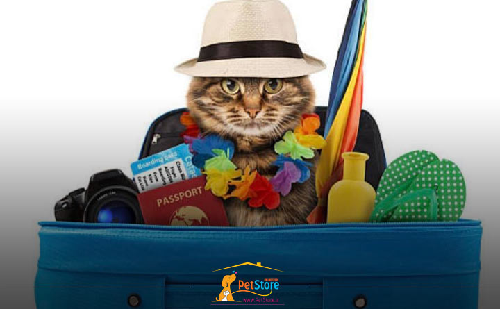 تعطیلات با حیوانات خانگی