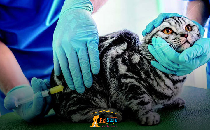 آزمایش تیتر برای گربه