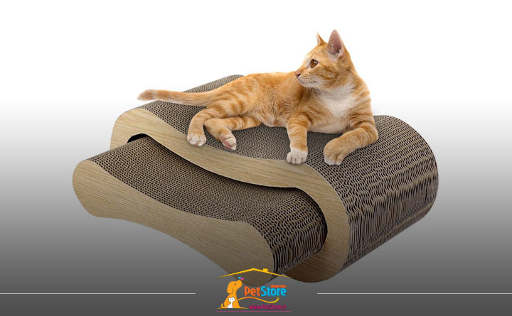 تعریف اسکرچر گربه