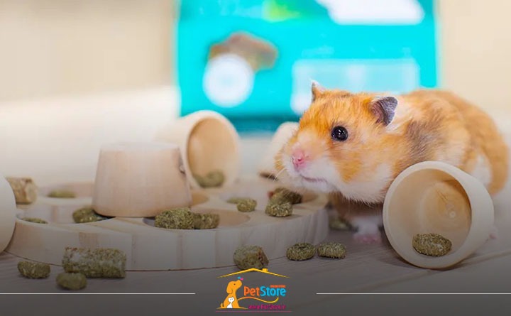 بهترین برند غذا برای همستر