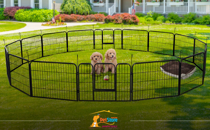 کنترل سگ هنگام خرید پارک بازی سگ