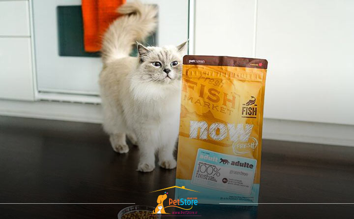 استفاده از سیب زمینی برای غذای تجاری گربه