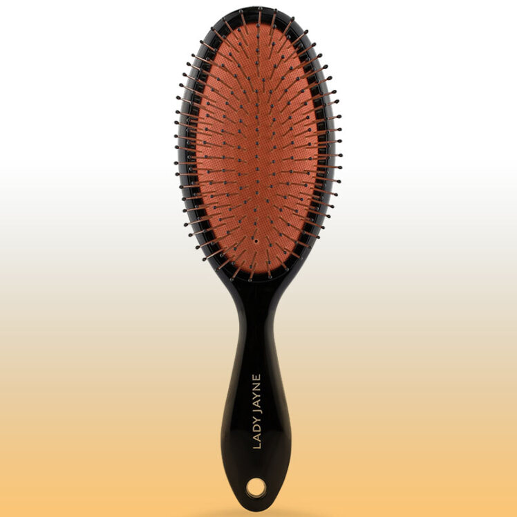 راهنمای خرید برس سگ