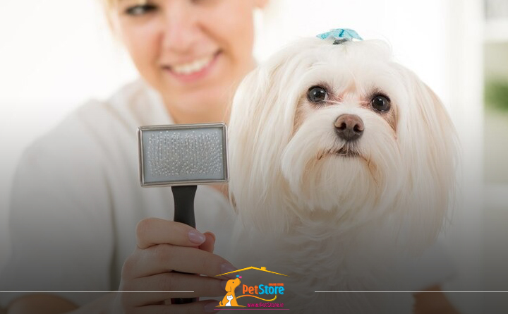 وسایل لازم برای نگهداری سگ در خانه: لوازم بهداشتی سگ